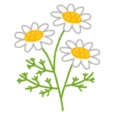 flower_chamomile